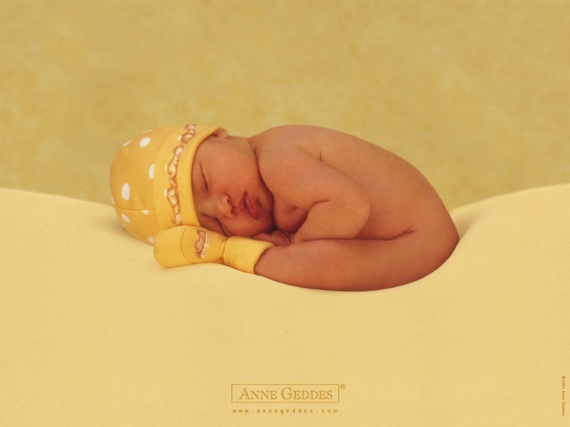 photograph_anne_geddes_1312_m.jpg