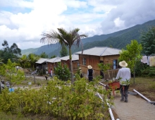 第二家园啊 我如何报答你 /雪峰