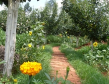 向人类汇报生命禅院第二家园实况点滴 / 雪峰