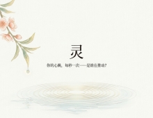 灵 视频+图文