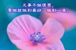 【用图文说话】被动潜藏着被淘汰的危机