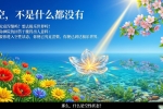 【禅院百科】空性 视频+图文