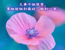 【用图文说话】被动潜藏着被淘汰的危机