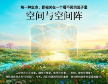 【禅院百科】空间 视频+图文