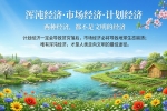 【禅院百科】浑沌经济·市场经济·计划经济 视频+图文