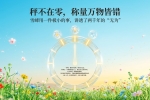 【禅院百科】零态 视频+图文