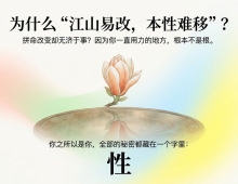 性 视频+图文