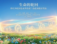 【禅院百科】生命的轮回 视频+图文