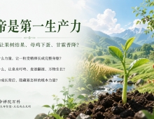 【禅院百科】上帝是第一生产力 视频+图文