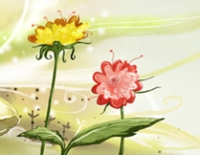 八百理念2美元收费启示---雪峰