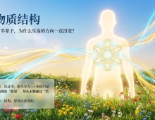 【禅院百科】反物质结构 视频+图文