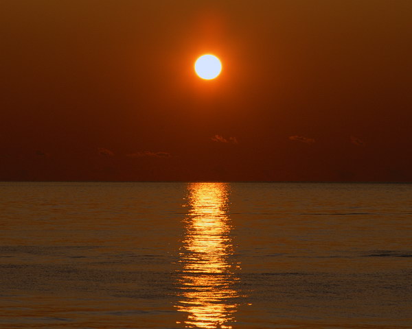 17301599_1.jpg