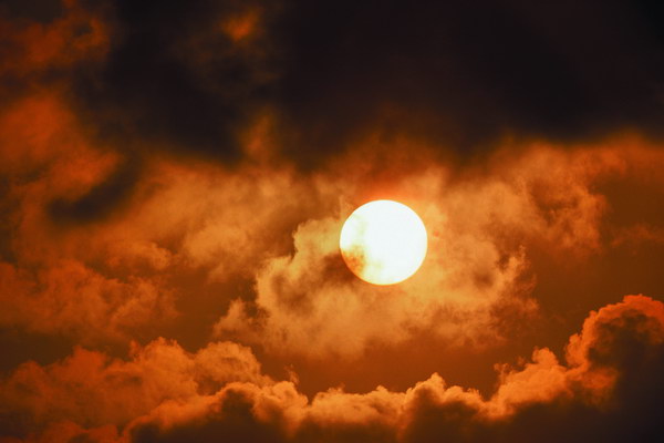 17301599_6.jpg