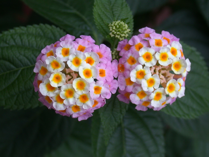 20100909_c6ba00883a54c4cc9bd04y9xZB72Xm0Y.jpg