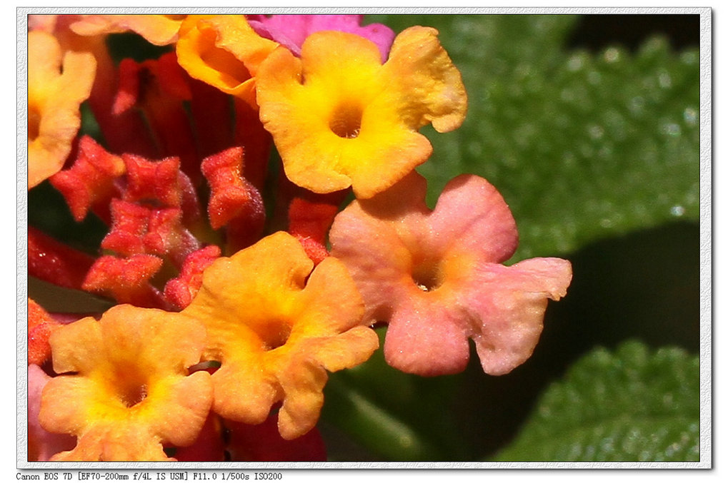 20100509_734f999476653e3dcad7PICP6kswWVMK.jpg