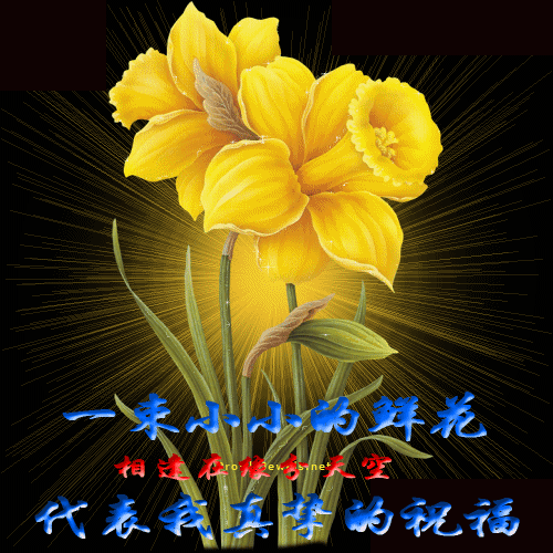 1058627387408803137.gif