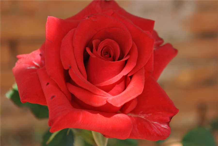 230305rwofo3eqwof3awfa.jpg