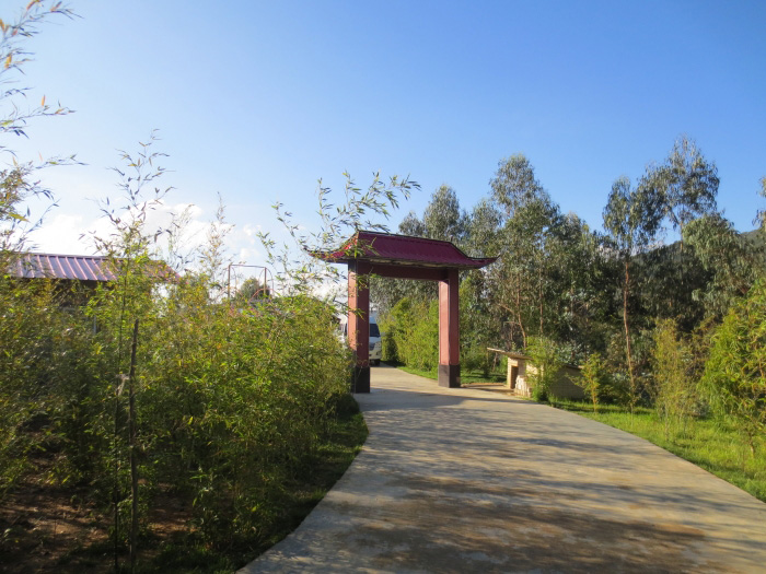 052119lmx3cdxz3dcmdqcj.jpg