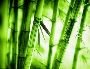 2_110512061421_1.jpg