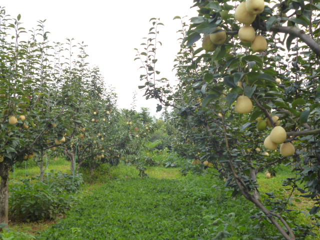 P1340840.JPG