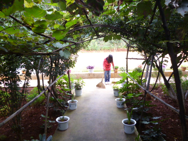 P1350127.JPG