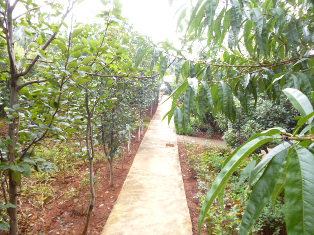 P1350134.JPG