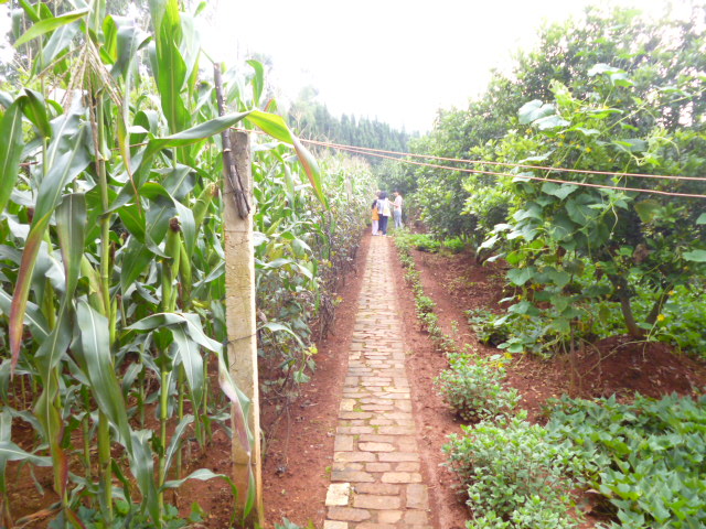 P1350135.JPG