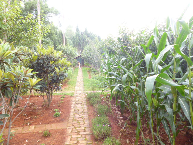 P1350141.JPG