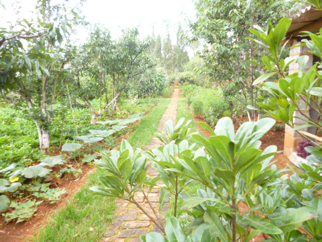 P1350145.JPG