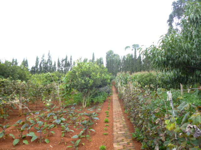 P1350148.JPG