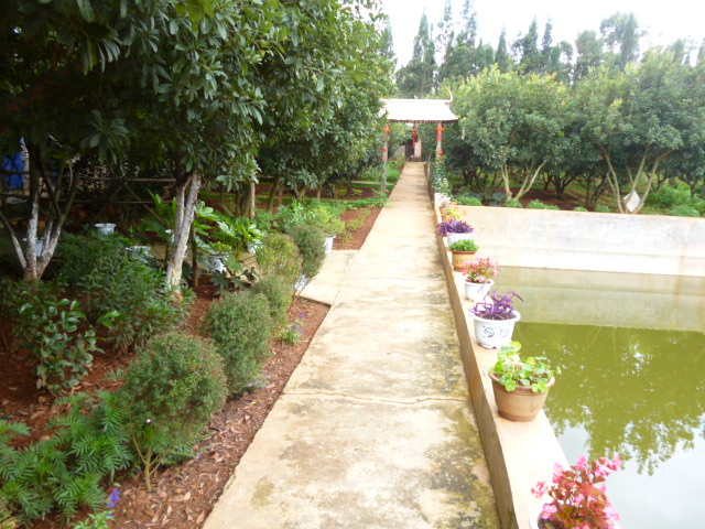 P1350151.JPG