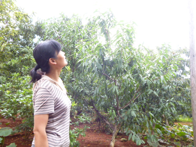 P1350166.JPG