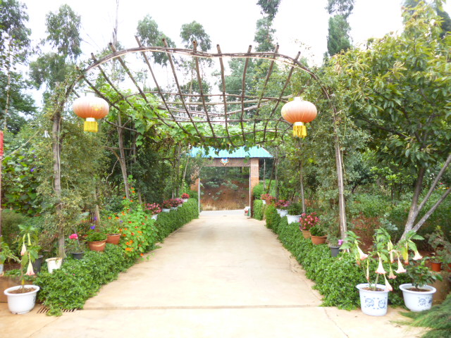 P1350177.JPG
