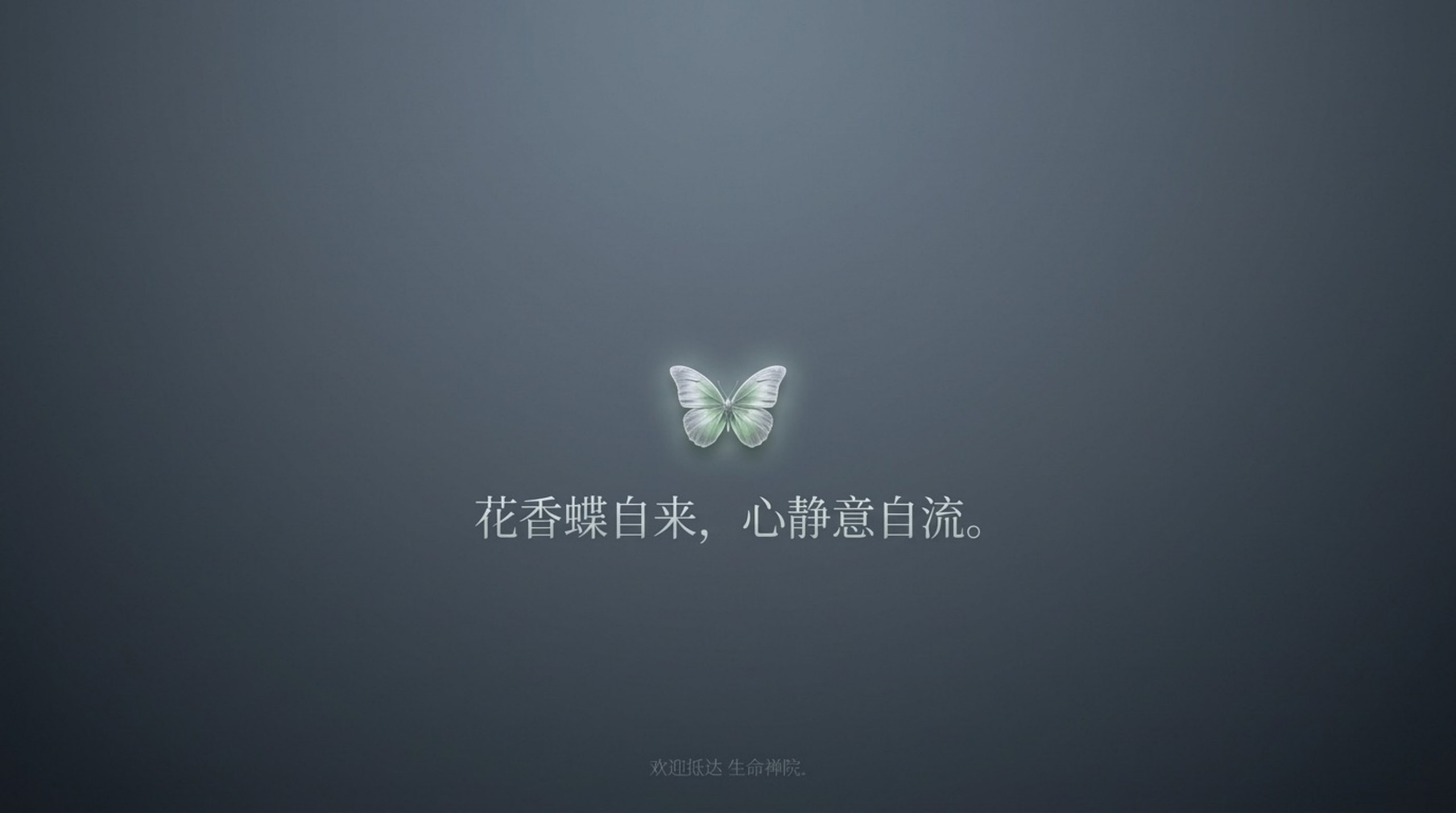 Lifechanyuan 生命禅院_无水印_15.jpg