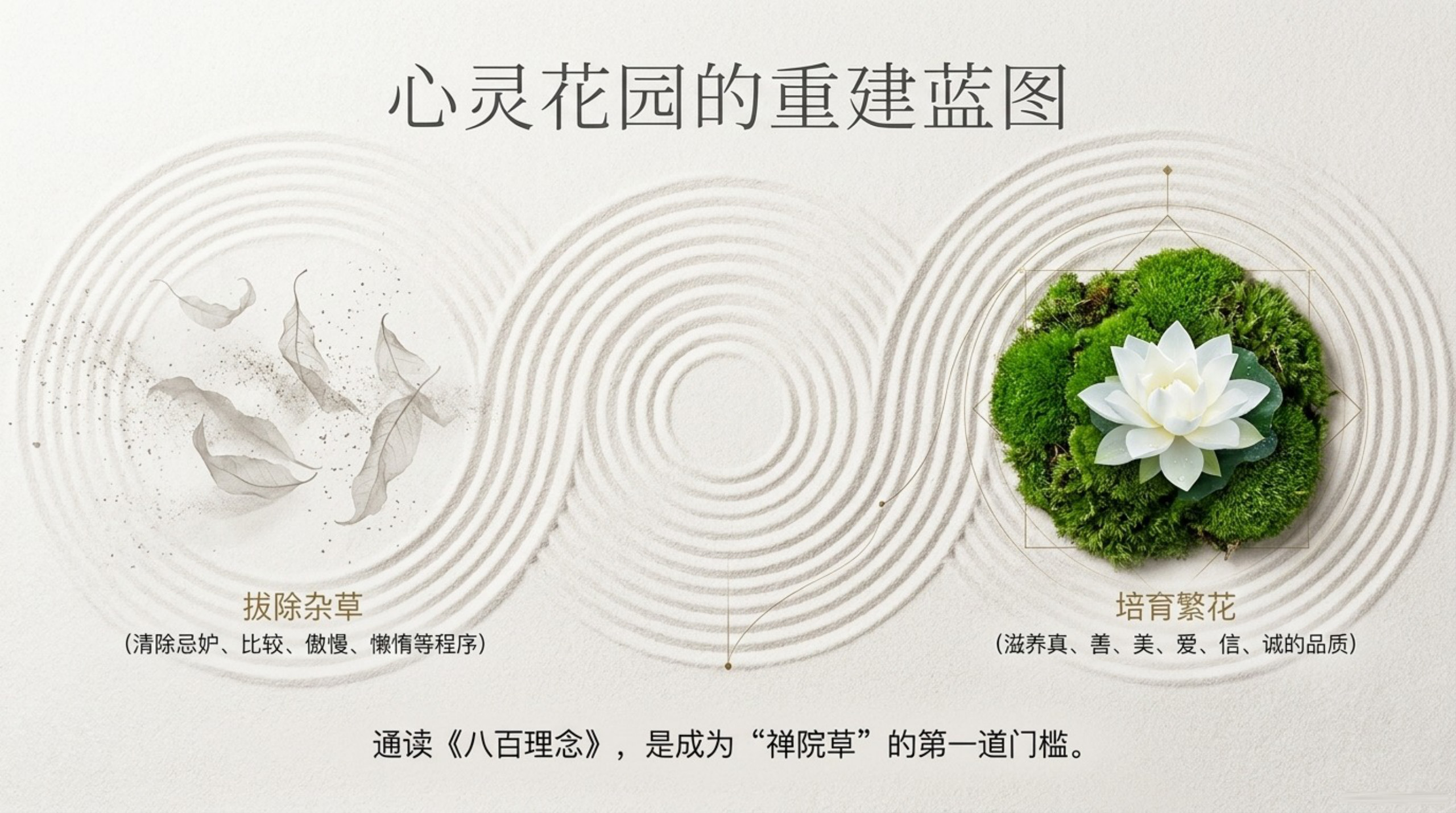 006_New_Era_Human_800_Concepts（新时代人类八百理念）_无水印_11.jpg