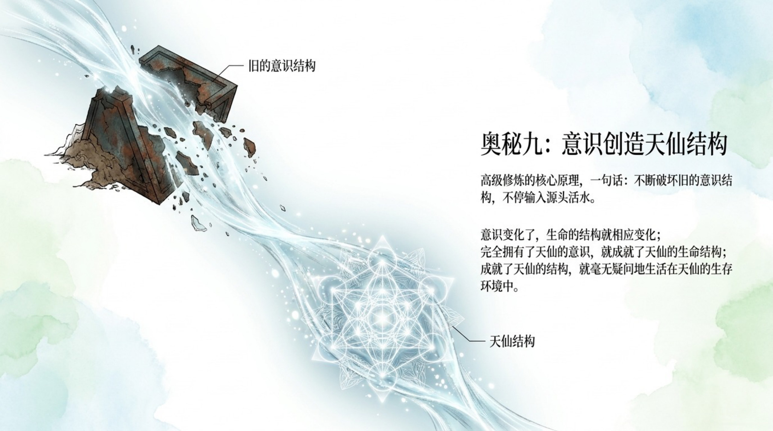 022_Mysteries_of_LIFE（生命奥秘）_无水印_12.jpg